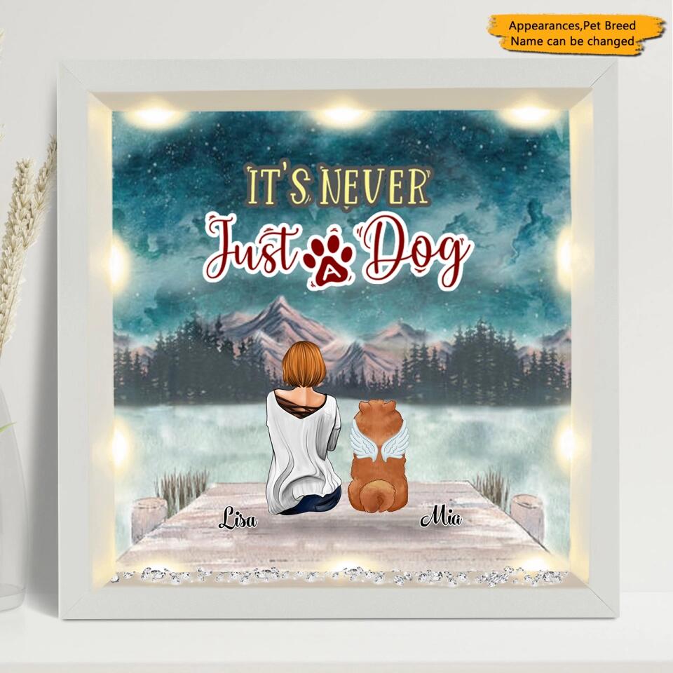 Man&Women, Dog and Cat - Personalized Light-Up Frame, Memorial Gift For Pet Lovers